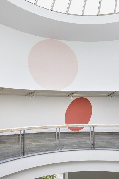 Foto der Intervention von Tomma Abts im Fridericianum
