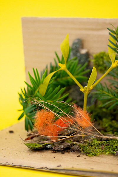 Foto von Zweigen und Ästen drapiert auf einem stück Karton