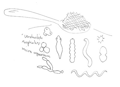 Handzeichnung mit Mikroorgansimen, Würmern, und Erde.