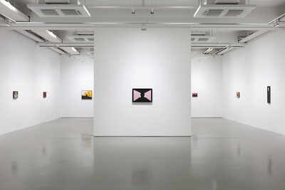 Ausstellungsraum im Fridericianum mit mehreren Bildern an den Wänden.