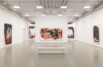 Ausstellungsansicht im Fridericianum, in einem hellen Raum sind fünf großformatige Werke der Künstlerin aufgehangen
