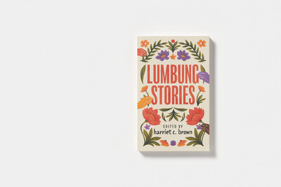 Cover von lumbung stories