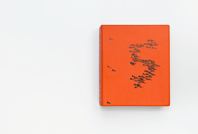 Cover aus dem Ausstellungskatalog der documenta 5 von 1972. Der Einband ist leuchtend orange und zeigt eine Gruppe stilisierter schwarzer Ameisen, die sich in einer geschwungenen Formation über die Fläche bewegen. Die plastisch wirkenden Insekten werfen Schatten, was der Gestaltung eine illusionistische Tiefe verleiht.