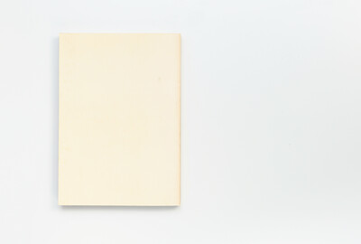 Rückseite aus dem Ausstellungskatalog der documenta 6, einfarbig in hellem Beige ohne Text oder Gestaltungselemente.