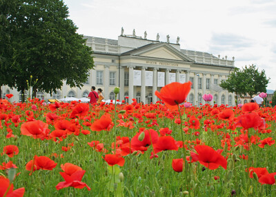 Red poppy field in front of the Fridericianum with documenta 12 banners on the façade.