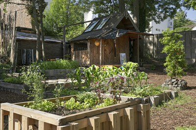 Ein grüner Gartenbereich mit verschiedenen Pflanzen und einer kleinen Holzhütte