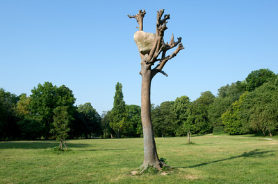 Skulptur eines kahlen Baumes mit verzweigten Ästen, die einen großen, glatt geformten Stein in der Krone halten. Die Skulptur steht auf einer weitläufigen Wiese, umgeben von grünen Bäumen unter klarem, blauem Himmel.